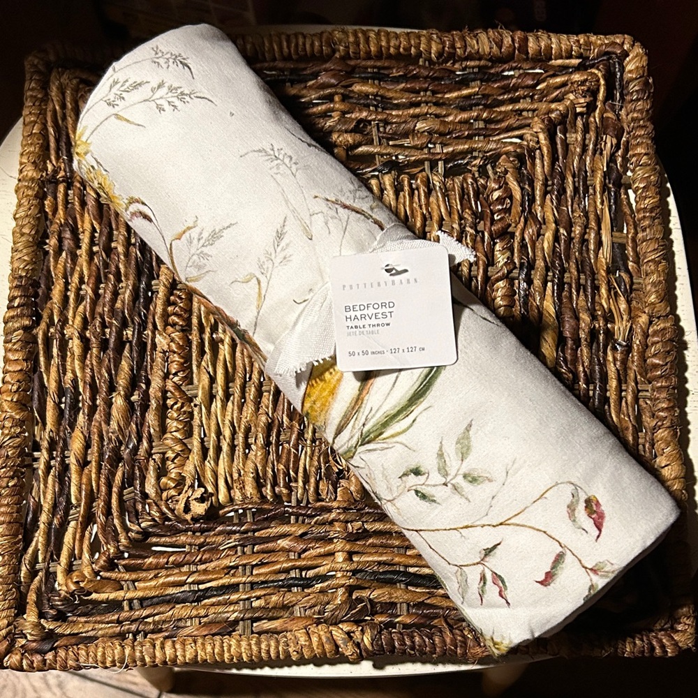 Pottery Barn Bedford Harvest Table Throw - Cream and Green BNWT